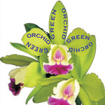 Green Orchid Logo