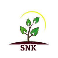 SNK Enterprise Logo