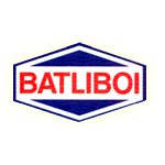 BATLIBOI ENVIRONMENTAL ENGINEERING LTD