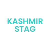 Kashmir Stag