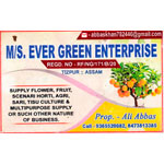 M/S EVER GREEN ENTERPRISE Logo