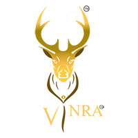 Vinra Estates & Infrastructure Private Limited Logo