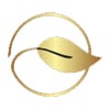 Aarvi Enterprises Logo