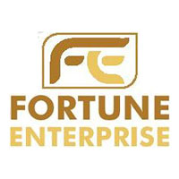 Fortune Enterprises Logo
