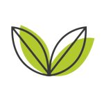 Planteria Eco Logo