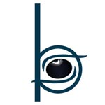 Blue Eyes Logo