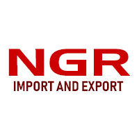 NGR IMPORT AND EXPORT Logo