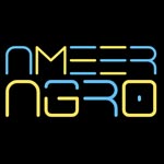 Ameer Agro Industries Logo