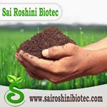 Sai Roshini Biotec Logo
