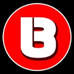 B Pramanik & Associates Logo