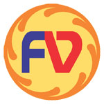 Future Vision Computers Institute Logo