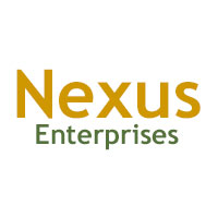 Nexus Enterprises Logo