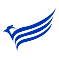 Sparrowings International Logo