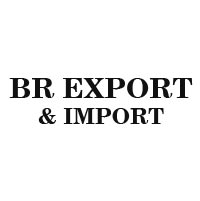 BR Export & Import Logo