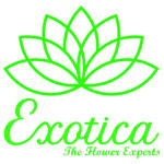 Exotica-The Flower Experts Logo