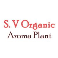S. V Organics Aroma Plant