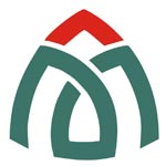 A. M. INTERNATIONAL Logo