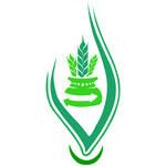 Aeravo Private Limited Logo