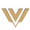 Vyas Exim Logo