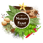 Nature Feast Logo