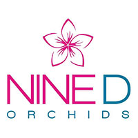 Nine D Orchids
