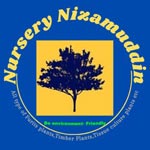 Nursery Nizamuddin Logo