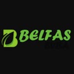 BELFAS BVBA Logo
