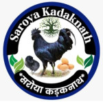 Saroya Kadaknath Farm