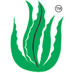 Phyto Naturals Logo