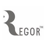 REGOR SURGICALS INDIA Logo