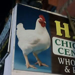 H A chicken center Logo