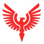 STE FASHION PVT LTD Logo