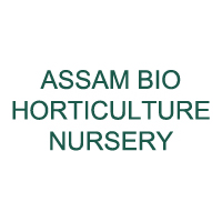 Assam Bio Horticulture Nursery