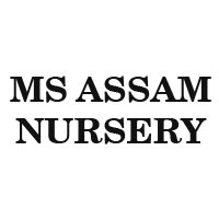 Ms Assam Nursery Logo