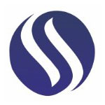 Sky Stone World Logo
