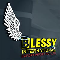 BLESSY INTERNATIONAL Logo