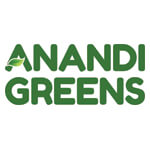 Anandi Enterprises Logo