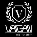 VALGAN Logo