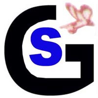 MS Great Splendid (Pvt) Limited