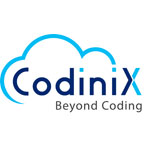 Codinix Consulting Services