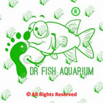 Doctor Fish Aquarium Logo