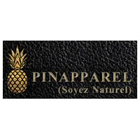 Pinapparel Private Limited Logo