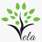 Vela Exports Logo