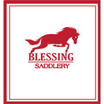 BLESSING ENTERPRISES Logo