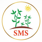 S M S And Companies Logo