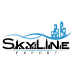 Skyline export Logo