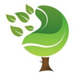 KM Green Vision Logo