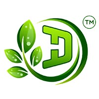 Desi Herbs Logo