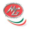 MG Srl