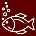 Aamin Fish seed Logo